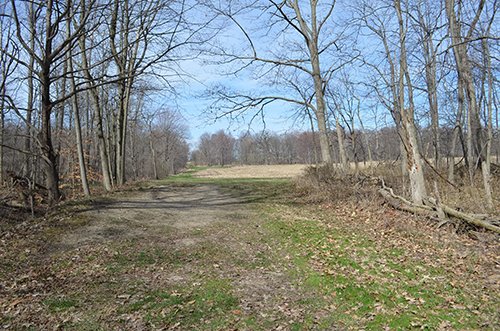 Property photo 116 - REAL ESTATE & PERSONAL PROPERTY AUCTION, 140 Acres offered in 8 Tracts or Combinations in Steuben County